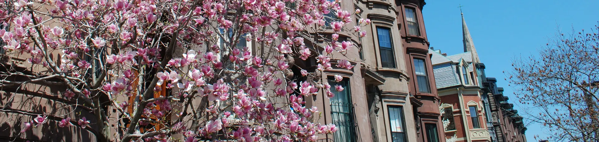 header_image